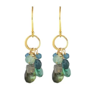 AVF Gold Hammered Circle Link Labradorite, Blue Topaz, Grandidierite & Quartz Earrings (SI6761)