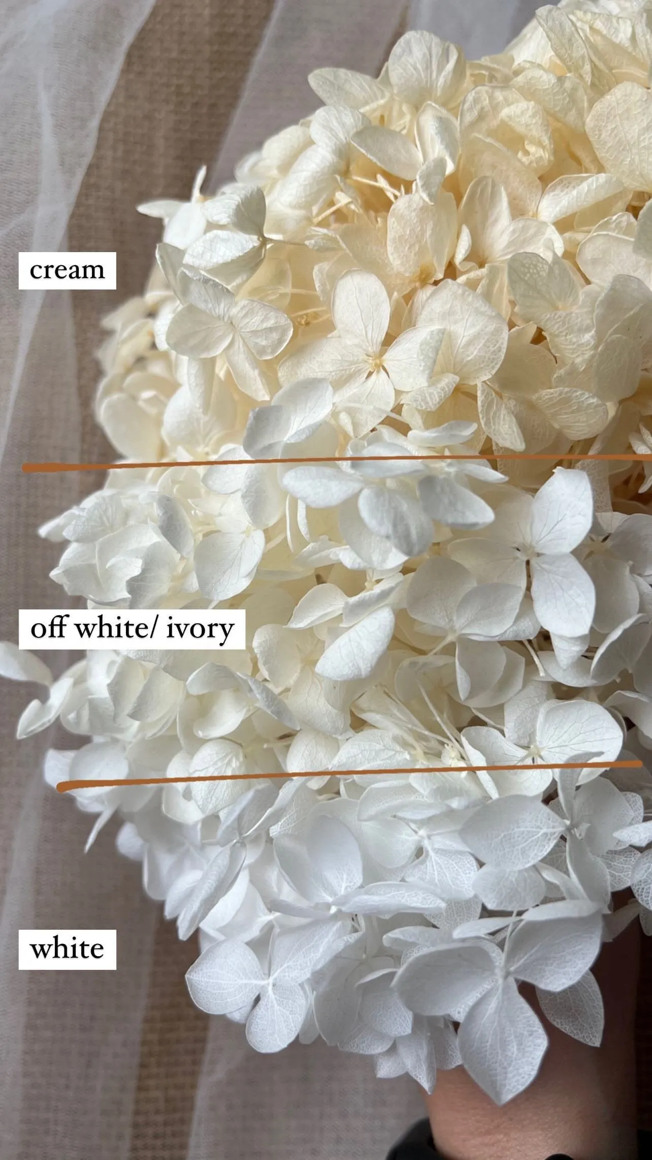 Boho Bridal White Flower Crown Adult, Miranda Kerr Hair Piece, Ivory Dried Floral Wedding Statement Tiara, Real Flower Girl Hair Accessories