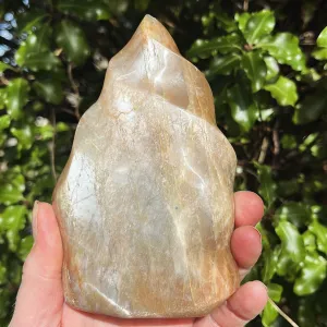 Flashy Peach Moonstone Flame 533g