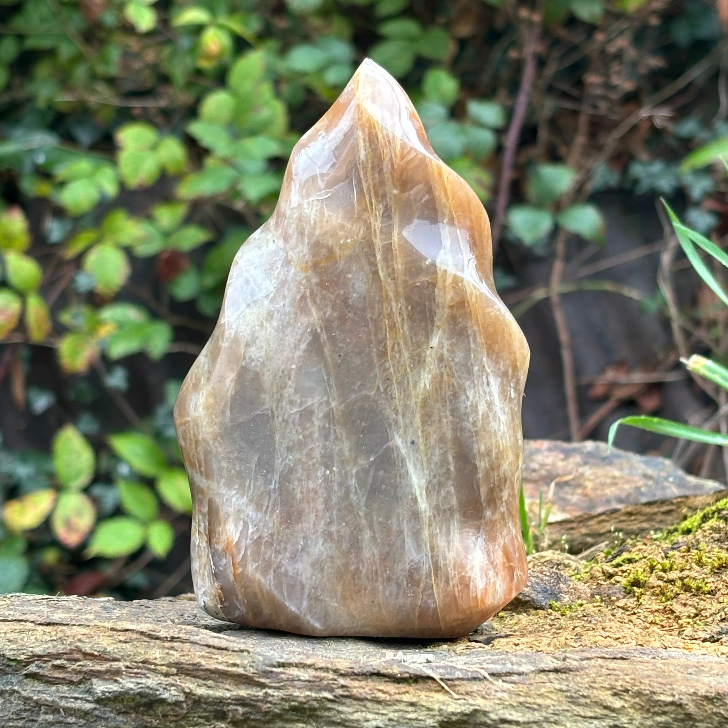 Flashy Peach Moonstone Flame 533g