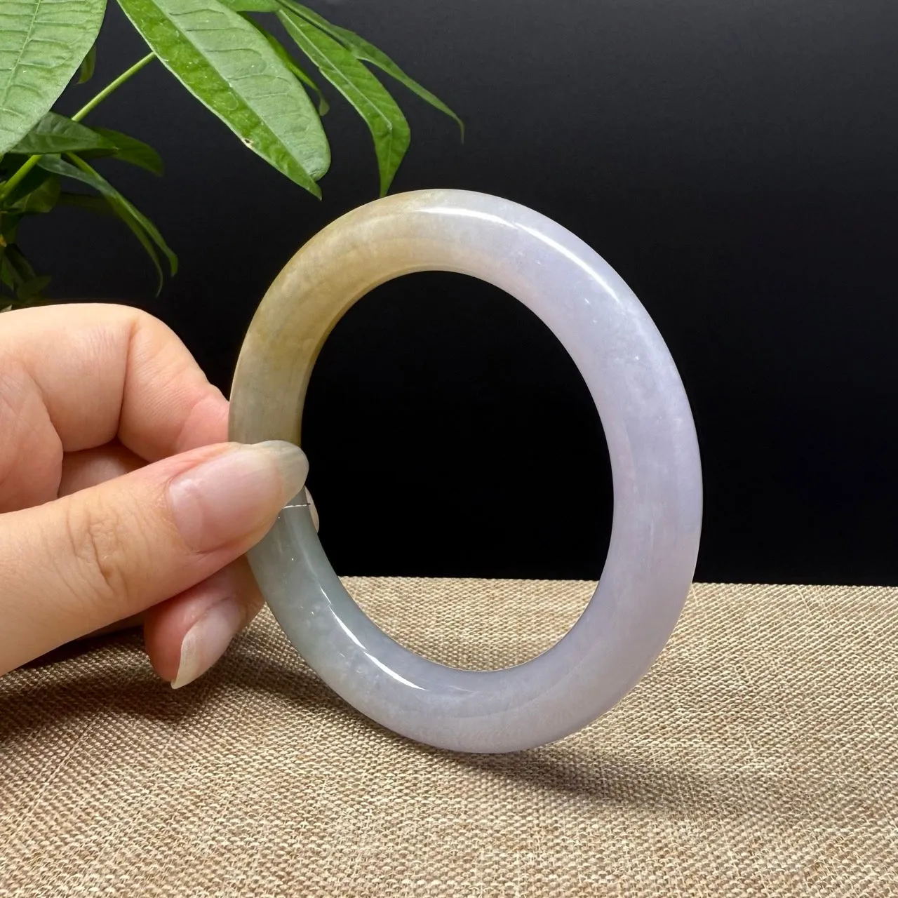 Genuine Burmese Yellow Green lavender Jade Jadeite Bangle Bracelet ( 57mm )