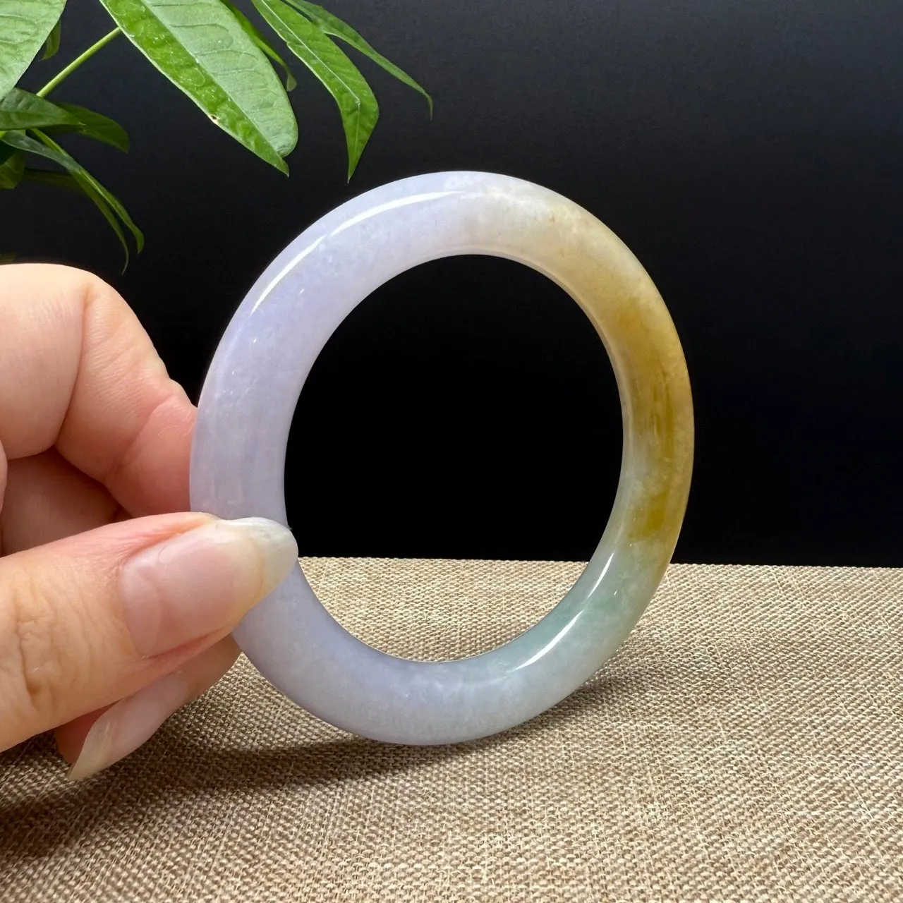 Genuine Burmese Yellow Green lavender Jade Jadeite Bangle Bracelet ( 57mm )