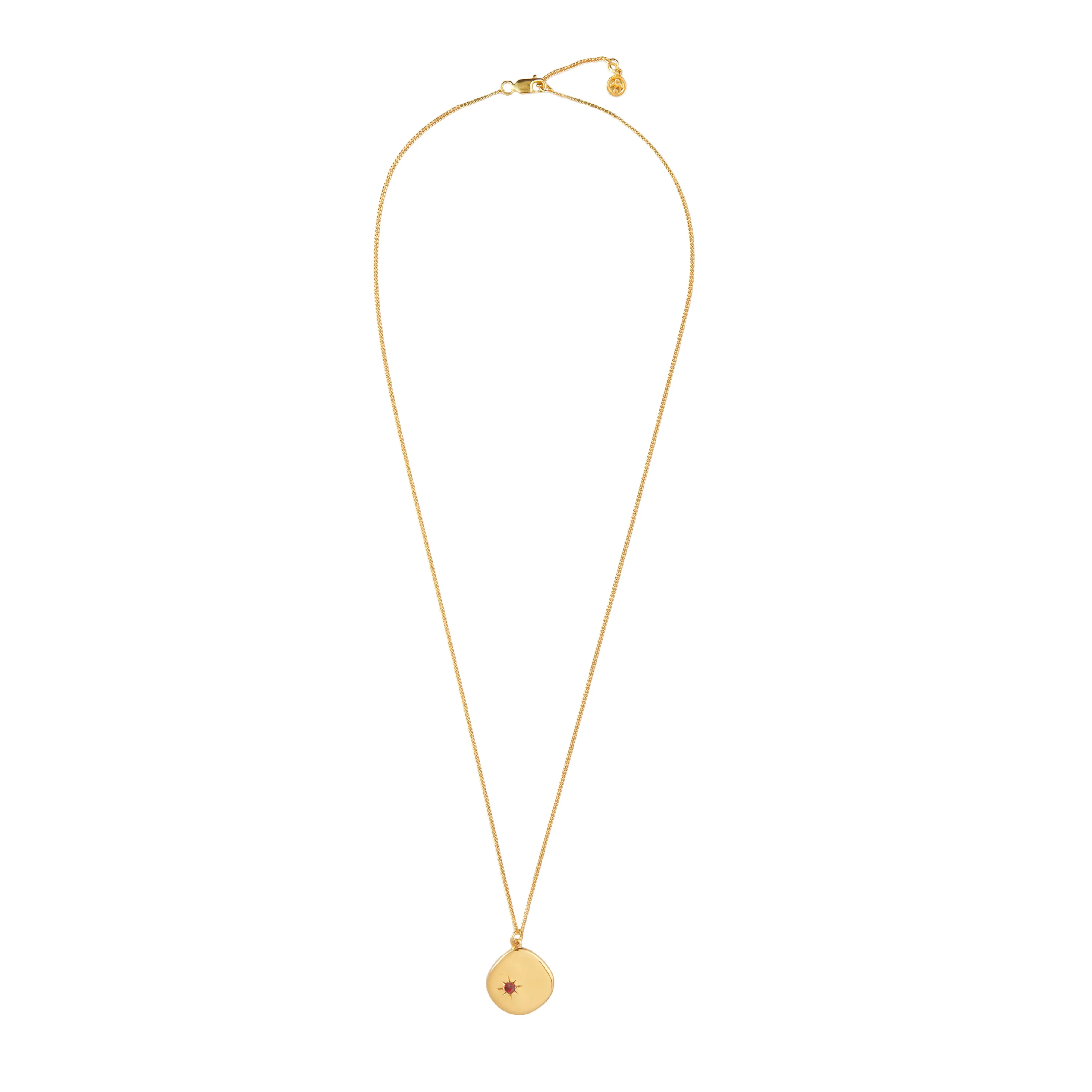 January Birthstone Necklace - 18 karat gold vermeil on sterling silver, garnet