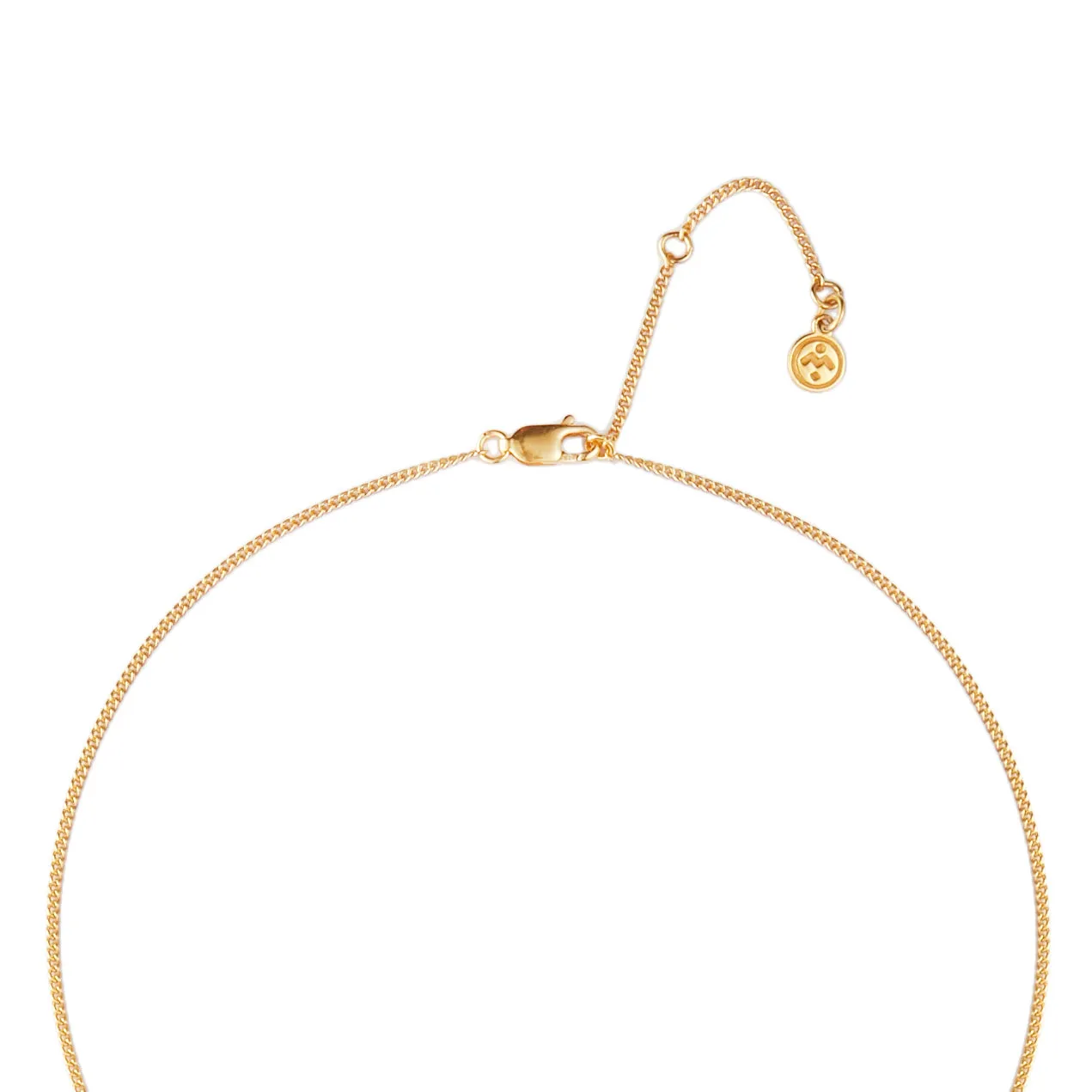 January Birthstone Necklace - 18 karat gold vermeil on sterling silver, garnet