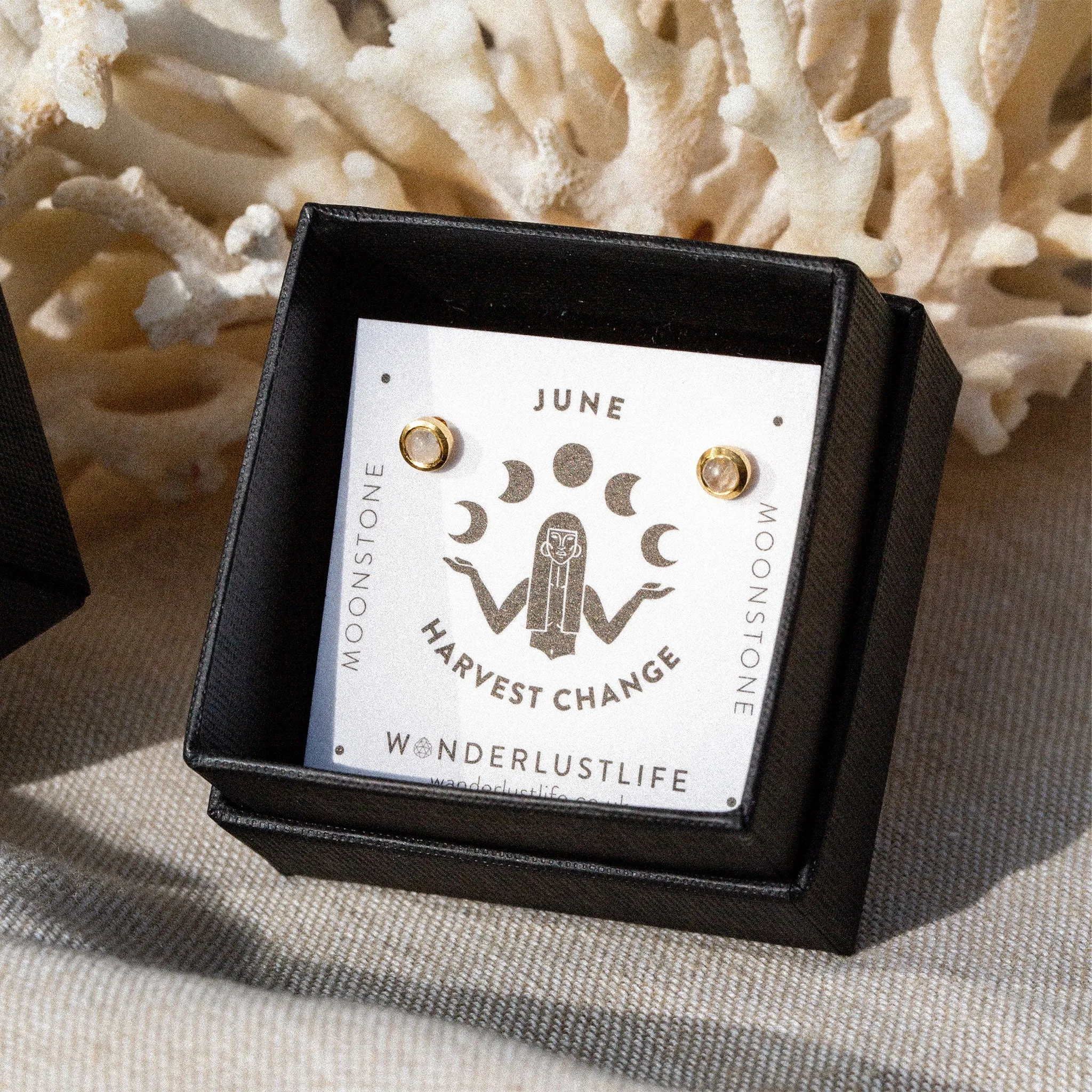 June Moonstone Birthstone Stud Earrings