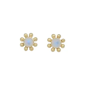 Little Sun 14K Gold Rainbow Moonstone Stud Earrings