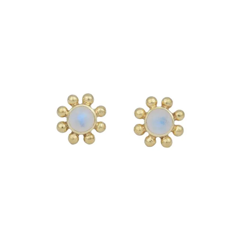 Little Sun 14K Gold Rainbow Moonstone Stud Earrings