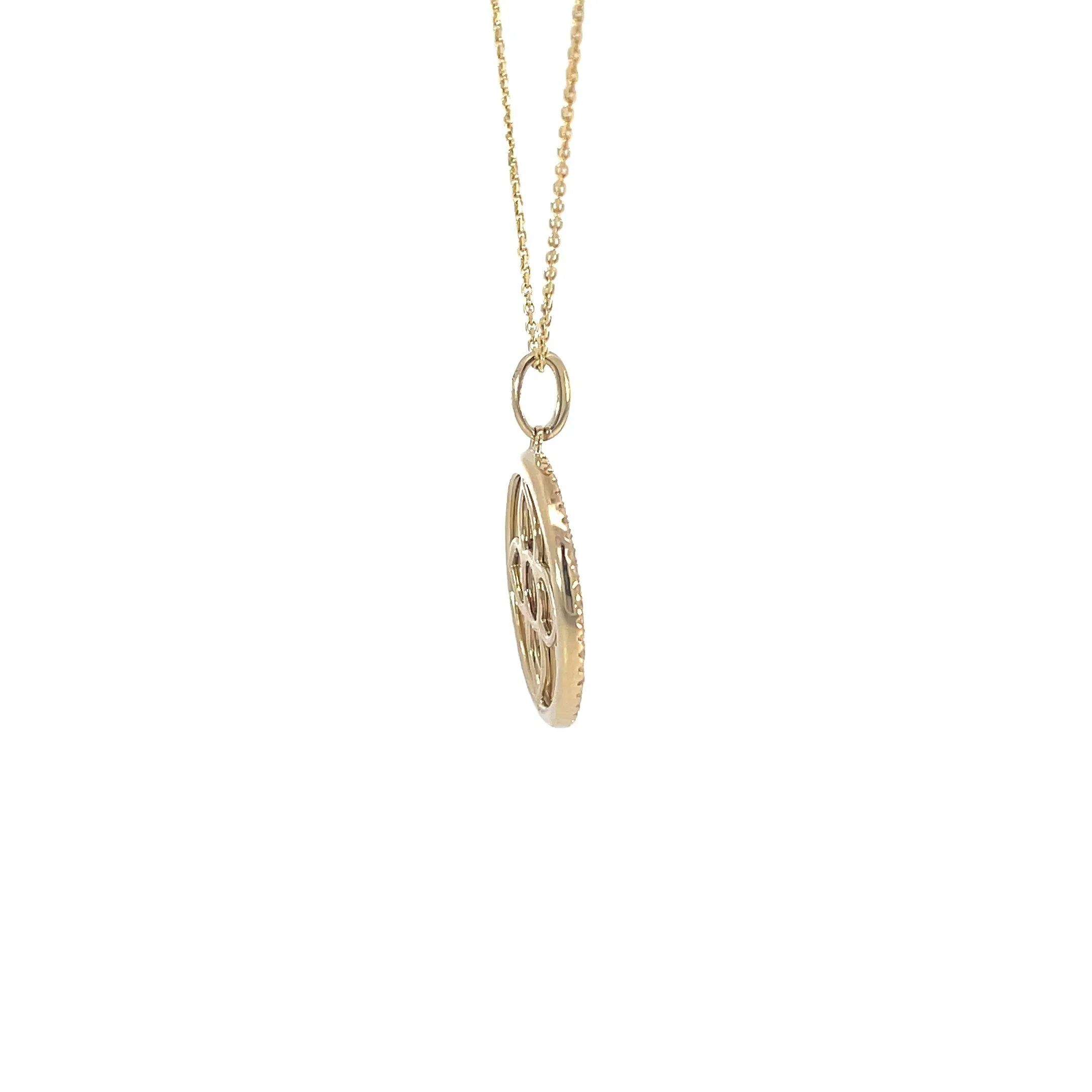 Yellow Gold Garnet Disk Necklace